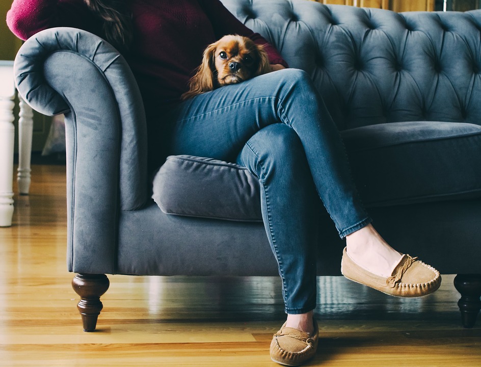 commercial-street-shoes-accessories-couch-5519113_169_759